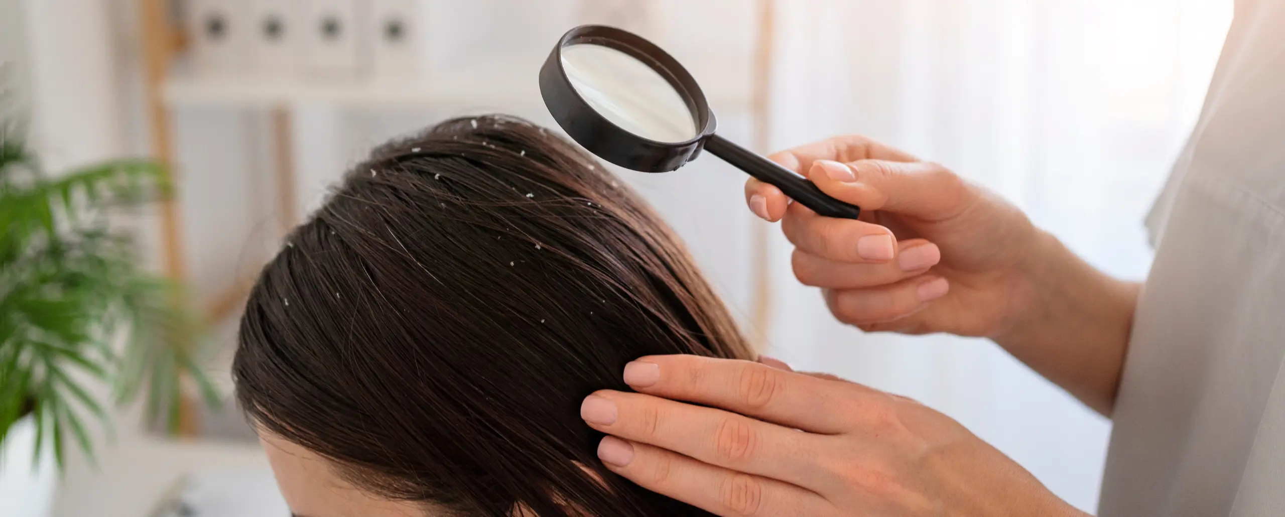 Dandruff Treatment in Gurgaon At Home — at-home treatment by AIIMS-certified dermatologists at Avataar Skin